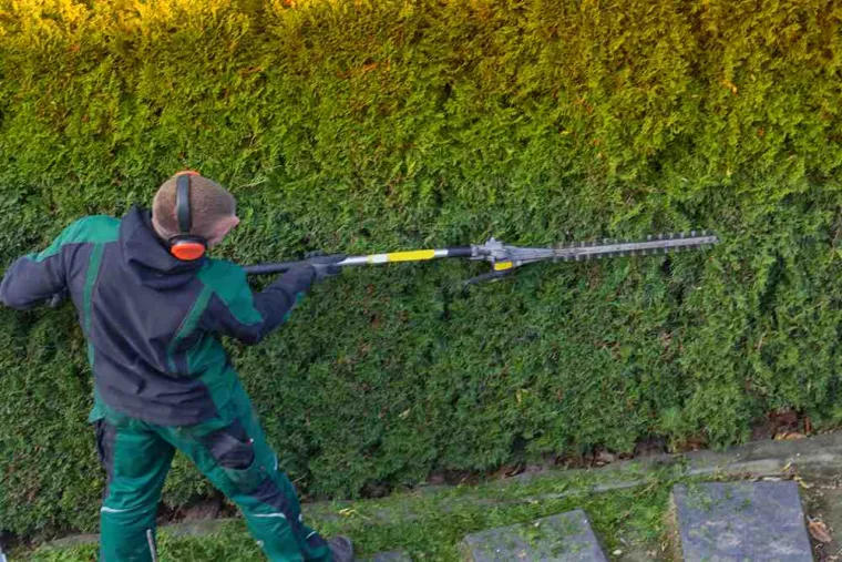 Paysagiste pour tailler les haies, tondre le gazon et poser un système d'arrosage automatique dans une propriété privée, Saint-Quentin, Pl'aisne Environnement