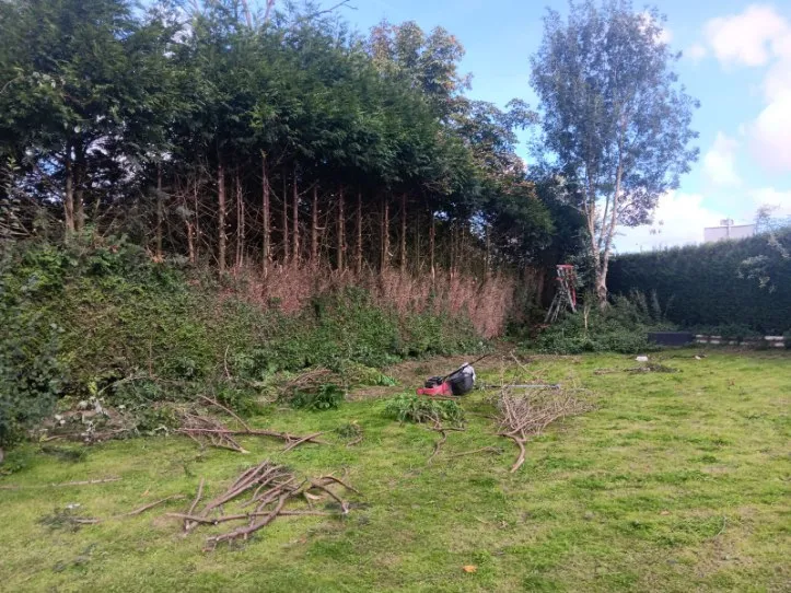 Elagage d'une haie à Bohain-en-Vermandois , Saint-Quentin, Pl'aisne Environnement