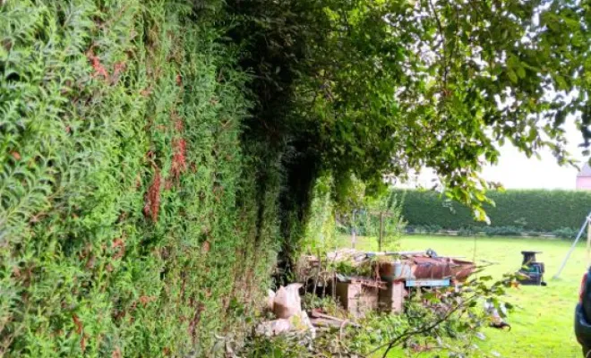 Elagage d'une haie à Bohain-en-Vermandois , Saint-Quentin, Pl'aisne Environnement